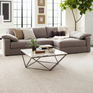 Living room flooring | Xray Flooring