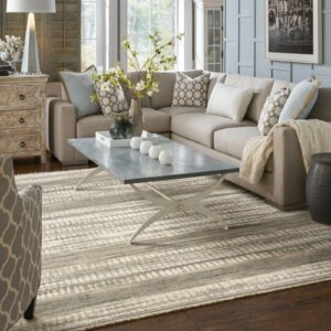 Living room rug | Xray Flooring