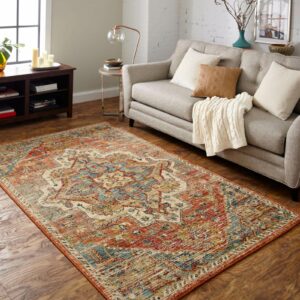Area rug in living room | Xray Flooring
